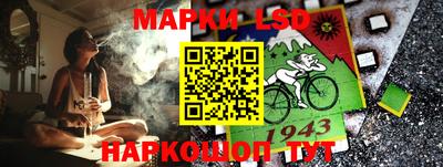 индика Будённовск