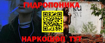 индика Будённовск
