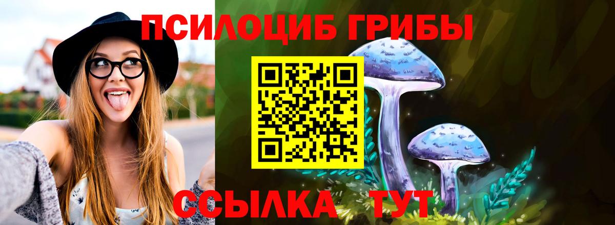 Галлюциногенные грибы Psilocybe Серов